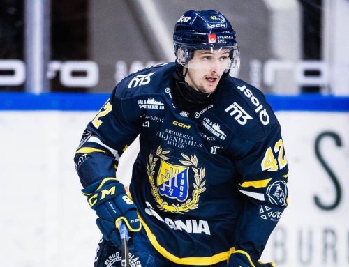 Schwedenhappen für die Bären: Ludvig Hedström kommt