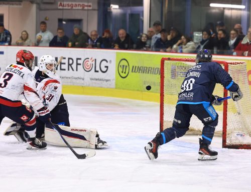 Bären erklimmen die Tabellenspitze
