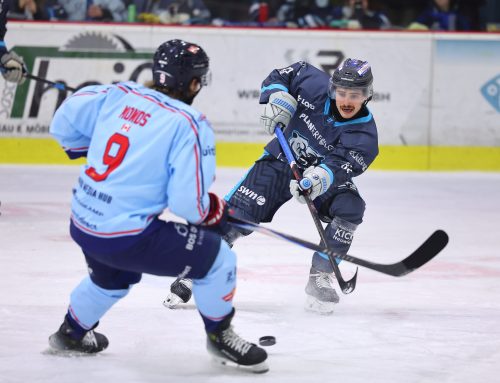 Bären kämpfen um gute Halbfinal-Ausgangsposition