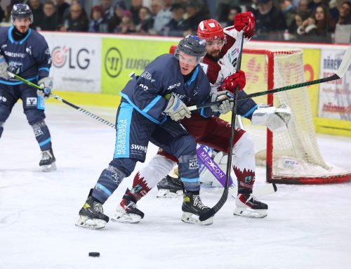 Bären sprühen beim 8:1-Kantersieg vor Energie