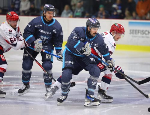 Bären kämpfen am Wochenende um den Final-Einzug