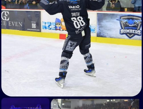 Bären feiern zu Hause das große Ding