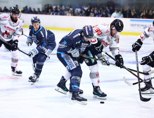 Bären verkaufen sich bei der Oberliga-Rückkehr teuer