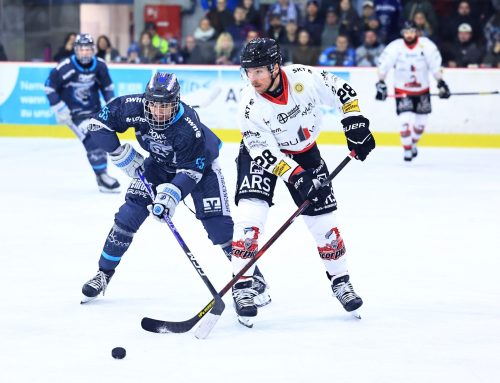 Bären wollen nach Coup gegen Scorpions gierig bleiben